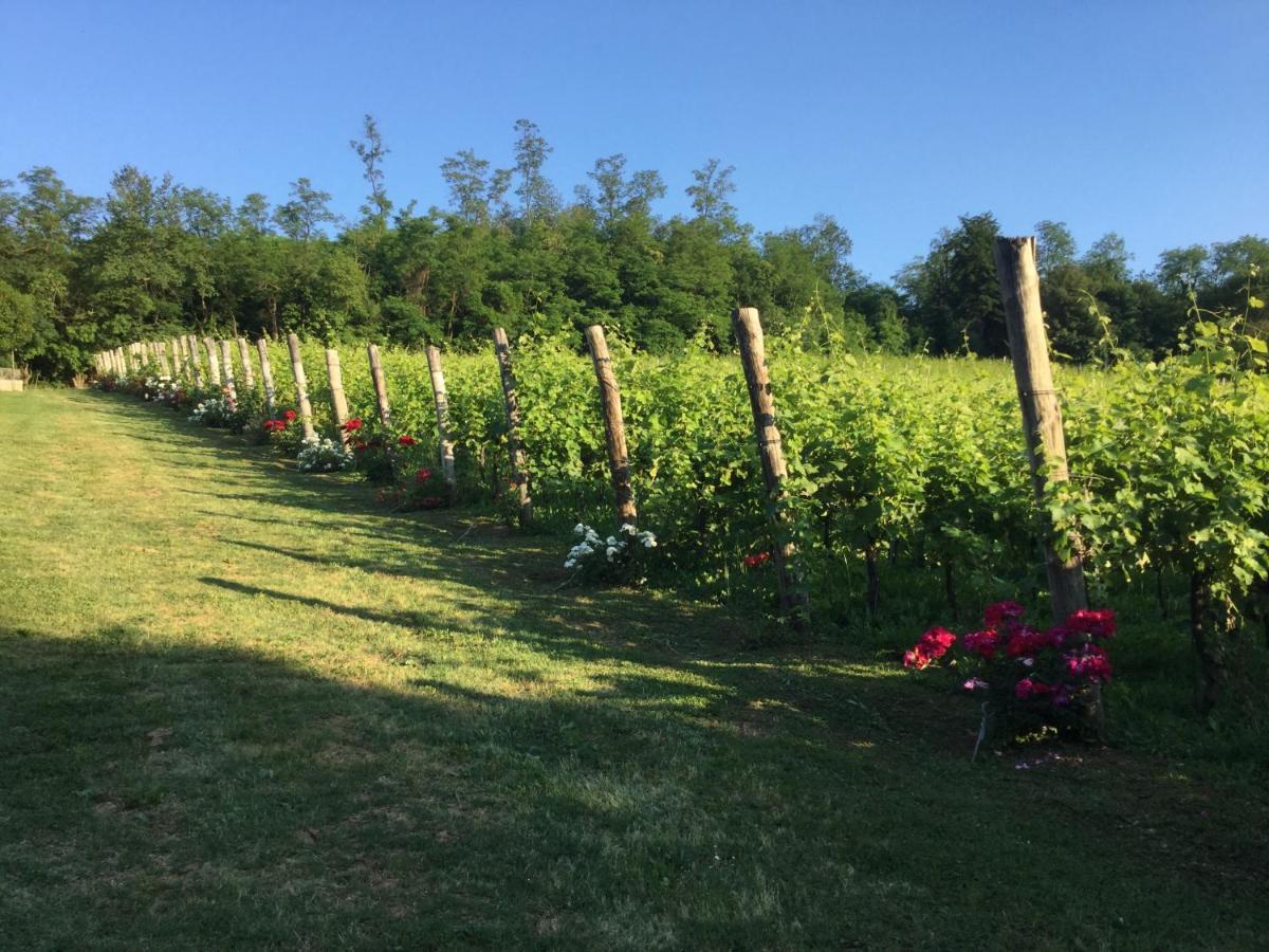 Agriturismo Terre Bianche Teolo Exteriér fotografie
