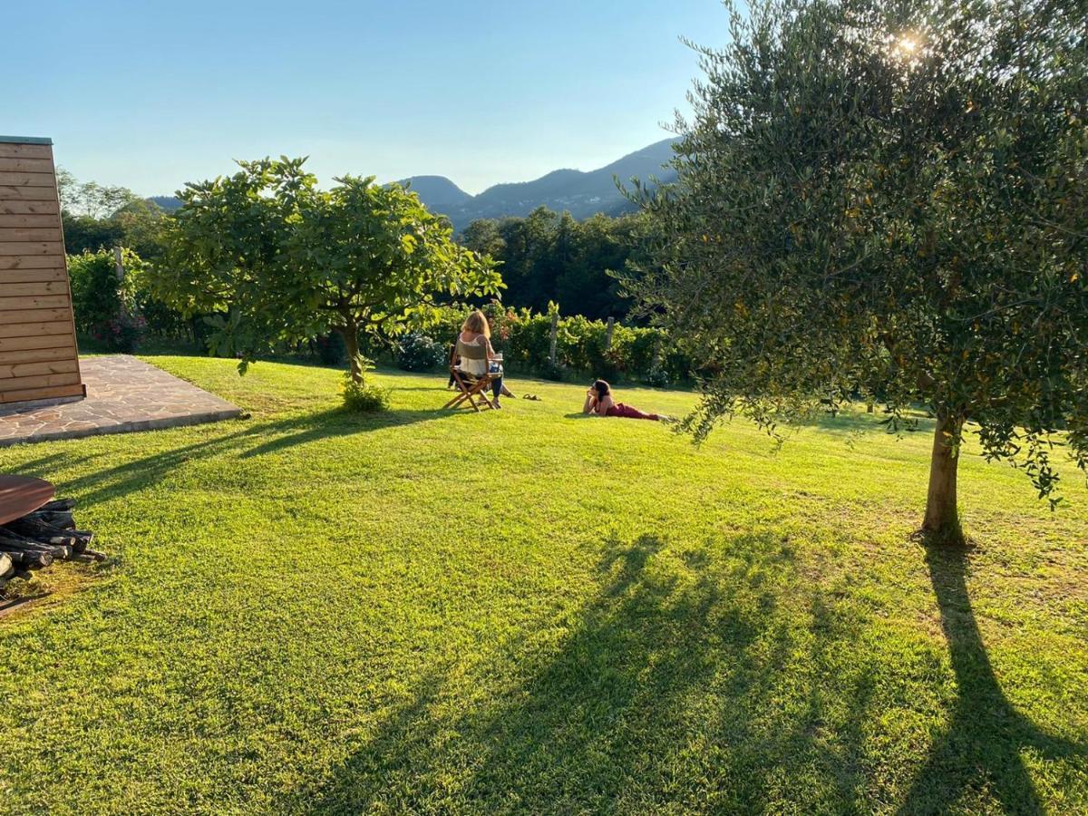 Agriturismo Terre Bianche Teolo Exteriér fotografie