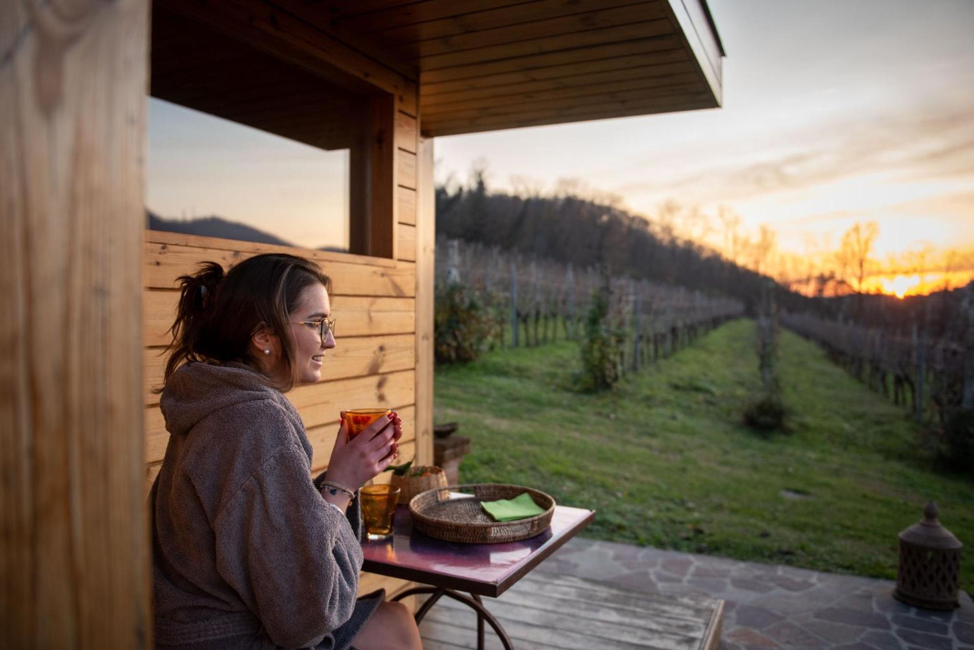 Agriturismo Terre Bianche Teolo Exteriér fotografie