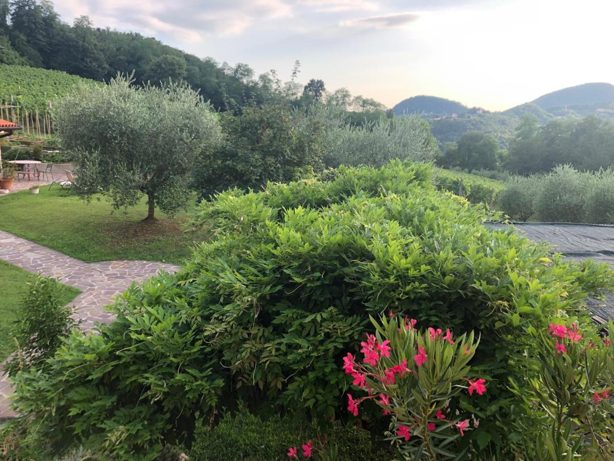 Agriturismo Terre Bianche Teolo Exteriér fotografie
